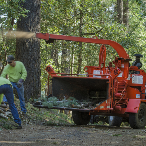 ehstoday_3222_woodchipper